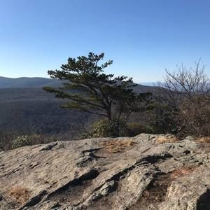 Meet your Posher, Rhonda